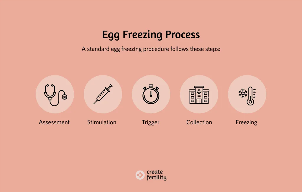 A graphic detailing the five phases of the egg freezing process, specifically: Fertility Assessment; Hormone Stimulation; Trigger Injection; Egg Collection; and Egg Freezing.