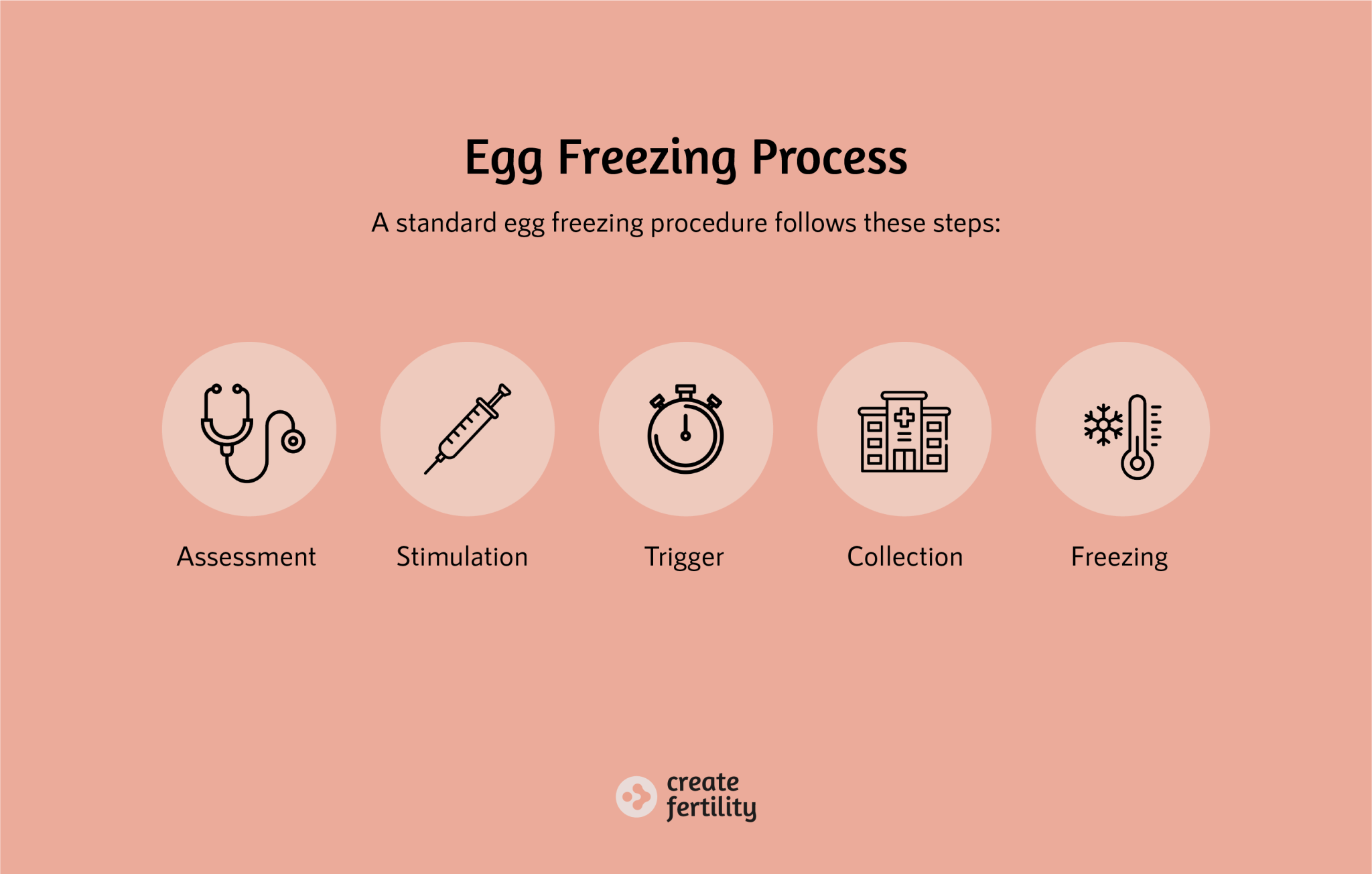 Should I Freeze My Eggs? A Guide to Egg Freezing | Create Fertility