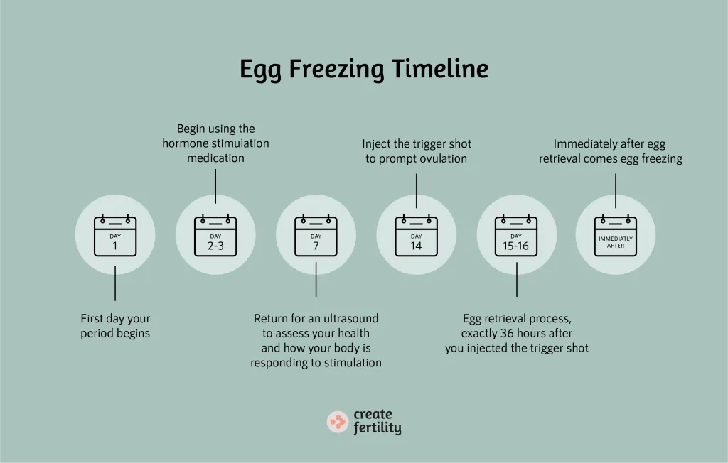 A graphic detailing a typical egg freezing timeline, including at which days of the process different key events occur.