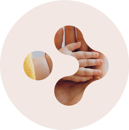 Understanding fertility