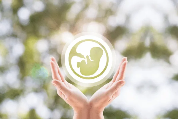 Frozen embryo transfer (FET)