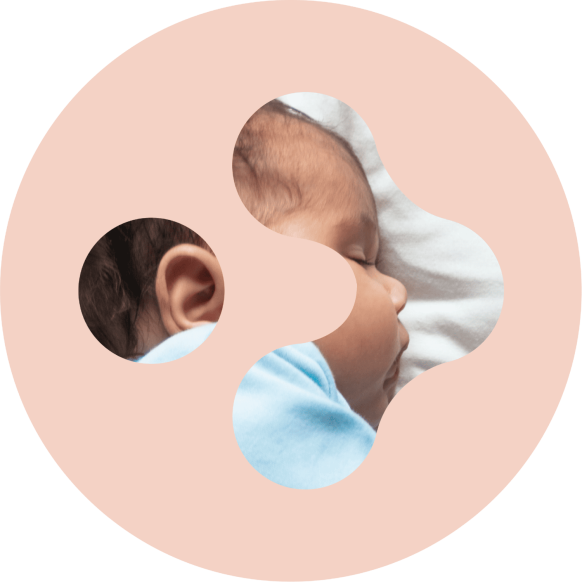 Blastocyst transfer Melbourne