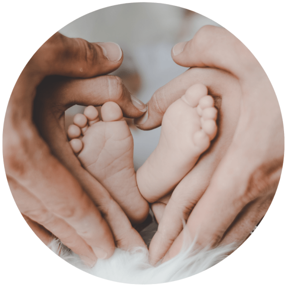 Fees Page banner-min